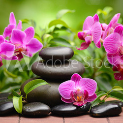 spa concept
