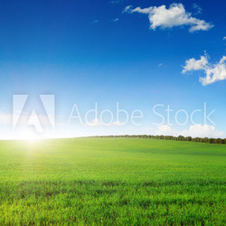 Dawn in the field