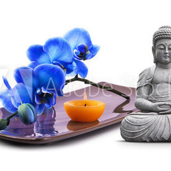 Bouddha et Sérénité