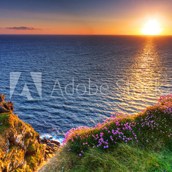 Cliffs of Moher in Co. Clare, Ireland