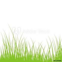 Wiese