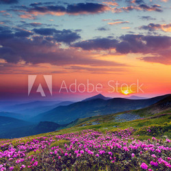 mountain landscape