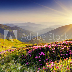 mountain landscape