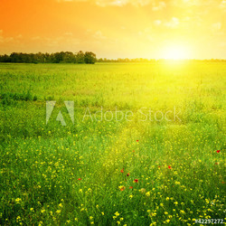 Beautiful sunset