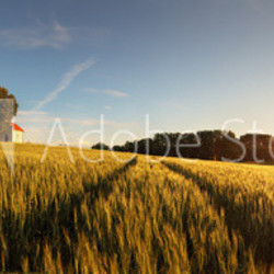 Sunset over wheat field with path and chapel in Slovakia