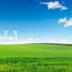 picturesque green field