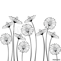meadow flowers