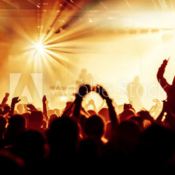 cheering crowd at concert