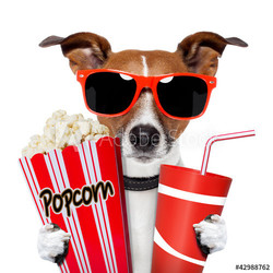 Hund mit Popcorn und Getränk