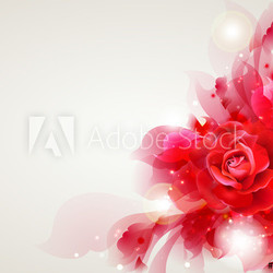 Abstract soft background with red rose