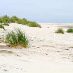 Vordünen