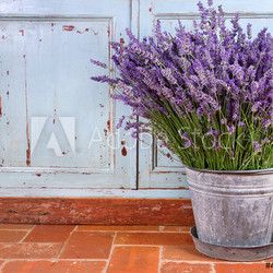 Bouquet of lavender in a rustic setting
