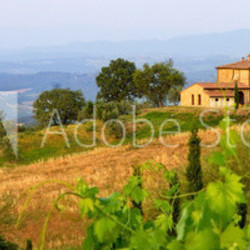 Tuscan landscape panorama in evening sun