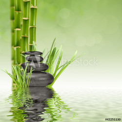 spa stones