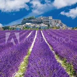 Lavande en Provence, village provençal en France