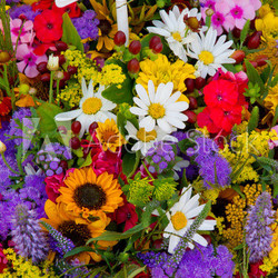 Bunter Blumenhintergrund