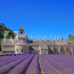 Senanque 06