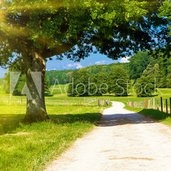 Sommertag in der Natur