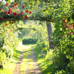 Rosenbogenweg