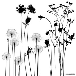 collection, for designers, plant vector