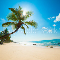 Tropical beach