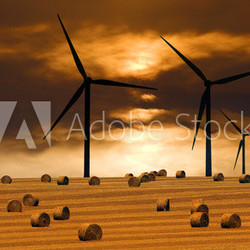 Windräder über Getreidefeld