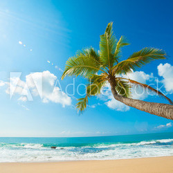 Tropical beach