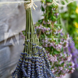 Herbs drying on the wooden barn in the garden