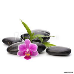 Zen pebbles path. Spa and healthcare concept.