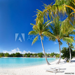 Perfect beach on Bora Bora
