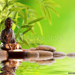 Buddha Zen