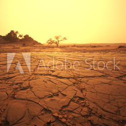 Namib