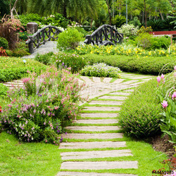 Landscaping in the garden. The path in the garden.