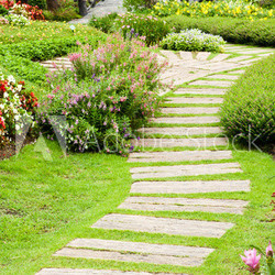 Landscaping in the garden. The path in the garden.
