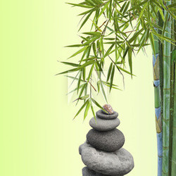 concept nature détente, estampe japonaise
