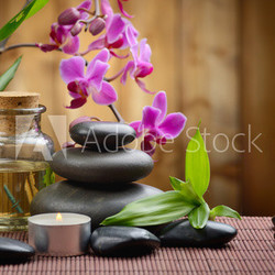 spa concept