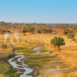 Tarangire River