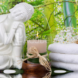 Buddha's life dream