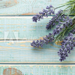Flowers on vintage wood background