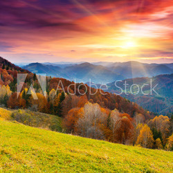 autumn