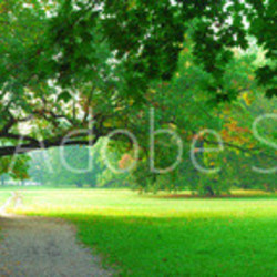 Park in autumn time