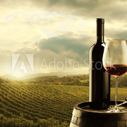 Vineyard at sunset