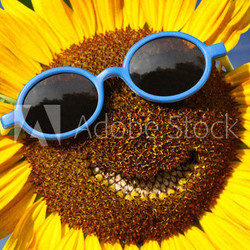 Sunflower with a smile
