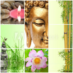 bambou bouddha zen