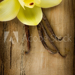 Vanilla Pods and Flower over Wooden Background