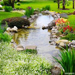 Spring flowers in the Asian garden