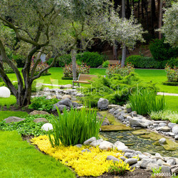 garden with pond in asian style