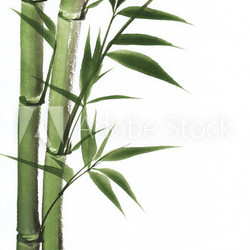 Watercolor painting of bamboo