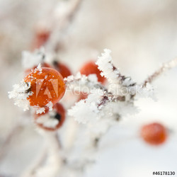 Eiskristalle