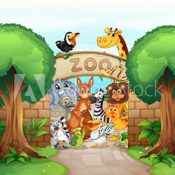 a zoo and animals
